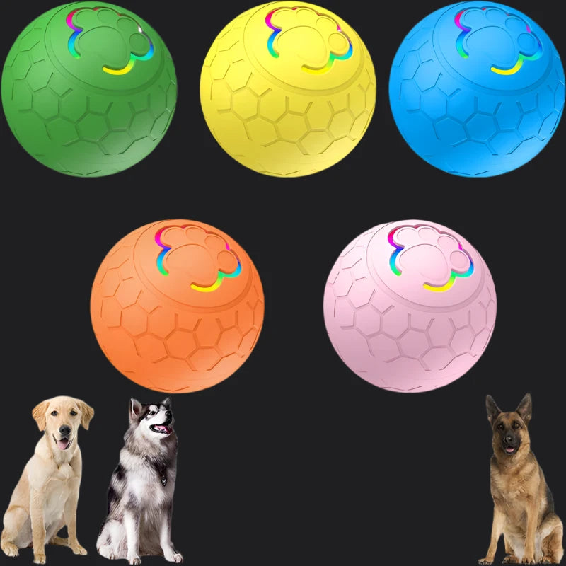 PawMatic™ Smart Waterproof Play Ball for Dogs & Cats - IVY DUCK
