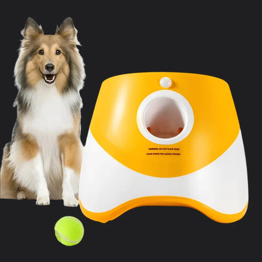 FetchPro™ Automatic Dog Ball Launcher - IVY DUCK