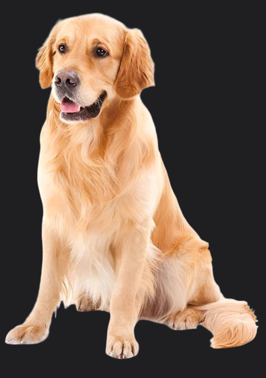 FleaFree™ Chemical Free Pro Pet Comb - IVY DUCK