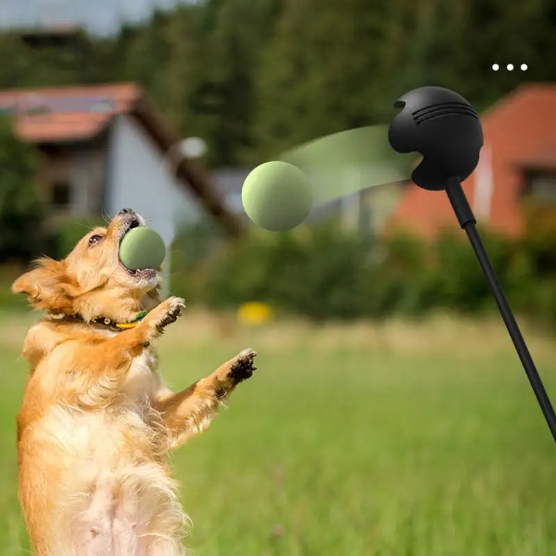 Play longer! Throw further! No sore arms!