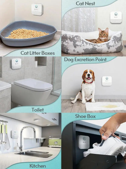 DownyPaws™ Smart Litter Box Odor Purifier - IVY DUCK