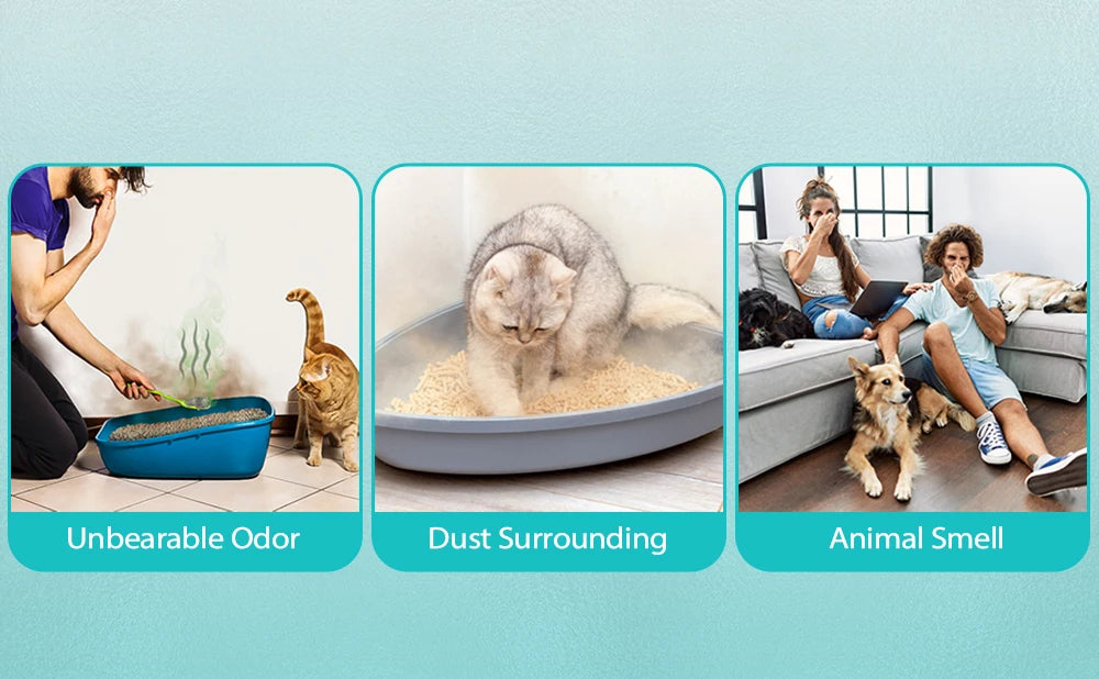 DownyPaws™ Smart Litter Box Odor Purifier - IVY DUCK